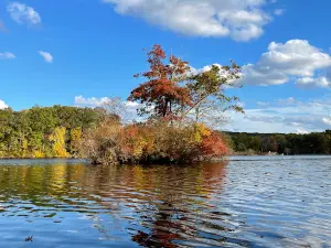 Eagleville Preserve