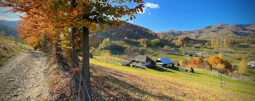 Sangeorz Bai - Statiune - Cazare - Atractii Turistice
