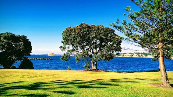 Whangaparaoa