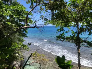 Pellew Island aka Monkey Island