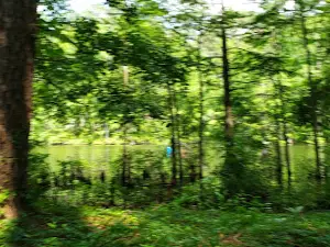 Stuart Lake Recreational Complex