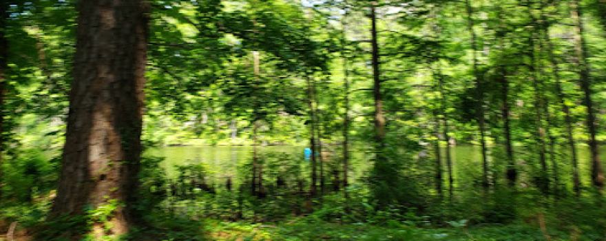 Stuart Lake Recreational Complex