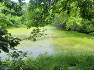 Big Bull Creek Park