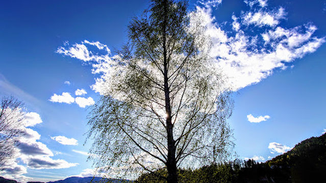 Idrettsparken Notodden FK