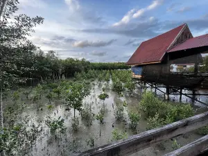 Batu Bara Mangrove Park