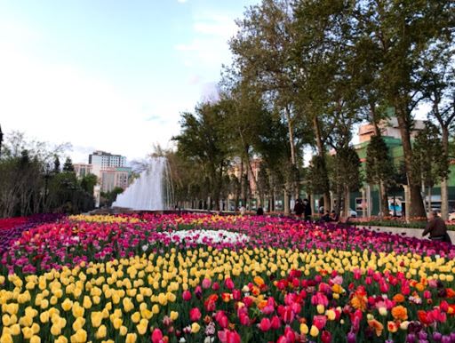 Fountains of Rudaki Park