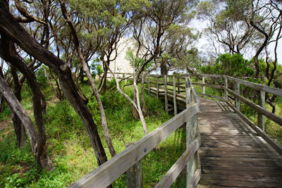 Beacon Hill Lookout