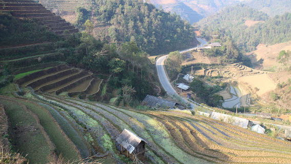 Mu Cang Chai Stadium