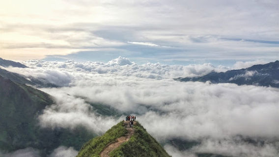 Vườn hồng Nguyệt Điền