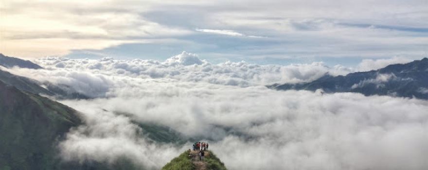 Vườn hồng Nguyệt Điền