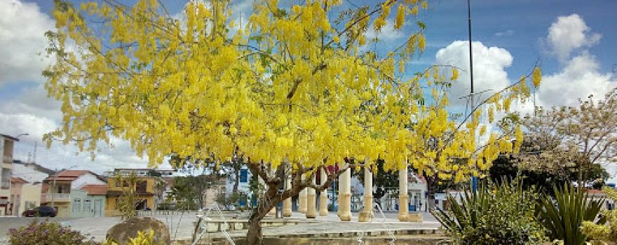 Rosary Square