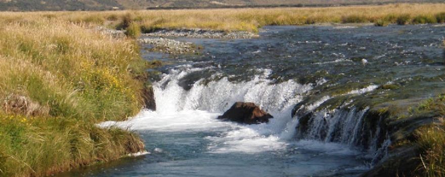 Riverstone Fly Fishing Guides in Tongariro, Turangi and Taupo