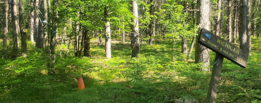 Luzerne Trail Camp