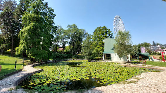 SkyView Panoramic Wheel