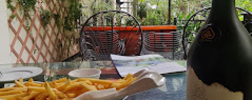 Vườn Sâm Lai Châu- CTCP Sâm Pusilung