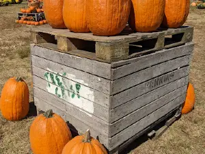 Crawford Farms Pumpkin Patch