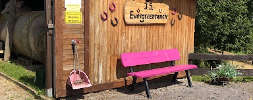 J.S. Evergreen Ranch - Horse in a Box