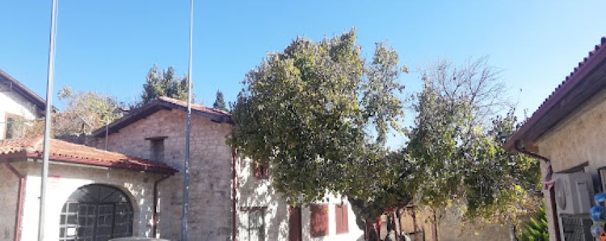 Şenköy