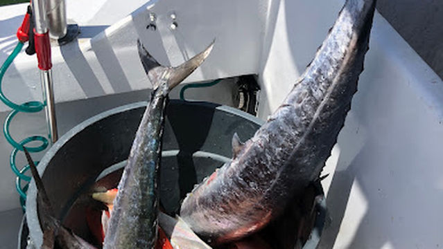 Charter Boat Full Draw Inc