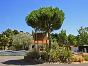 Camping Brillas