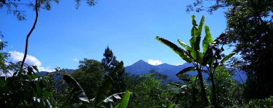 Tugu Prasasti