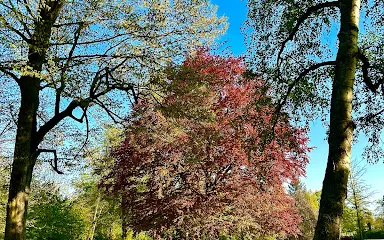 Gutspark Marienfelde