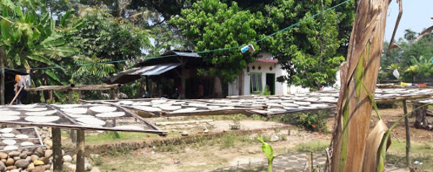 Balai Desa Padang Pelawi