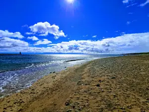 Berwick Seaview Caravan and Motorhome Club Campsite