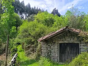 Armañón Parke Naturala