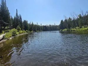 Rifle River Public Access