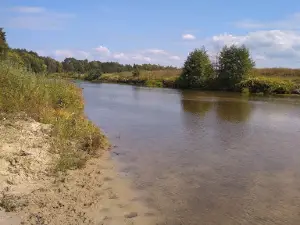 Reka Ayva