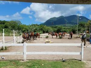 Nevis Equestrian Centre