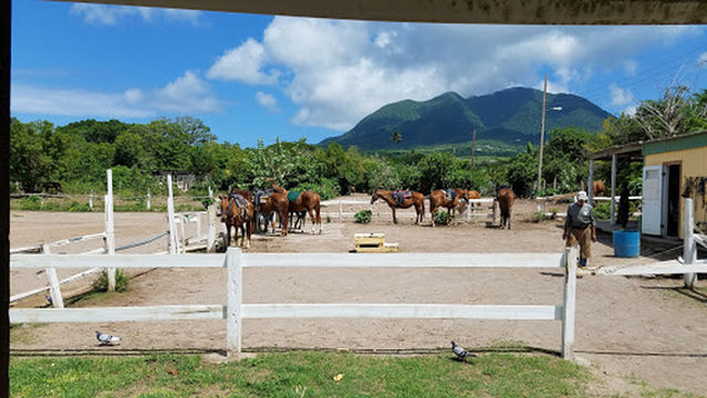 Nevis Equestrian Centre