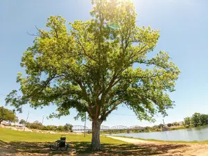 Badu Park