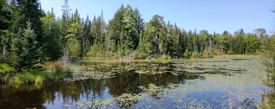 McGeachie Conservation Area