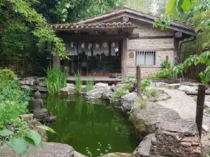 WabiSabi Culture