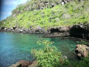 Point Carola Beach
