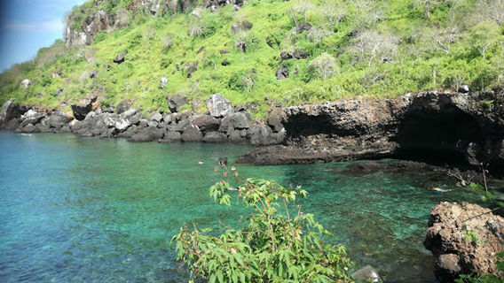 Île San Cristóbal