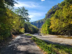 Taughannock Falls Gorge Trailhead