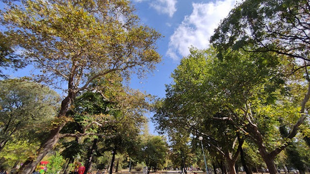 ‘Ribnitsa’ Park