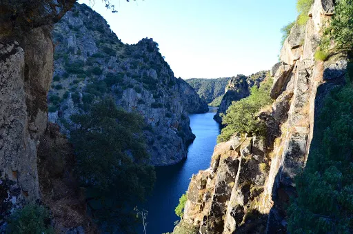 Bodega Quesería La Setera