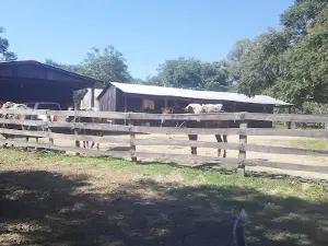 La Pastora - Caaguazú - Paraguay