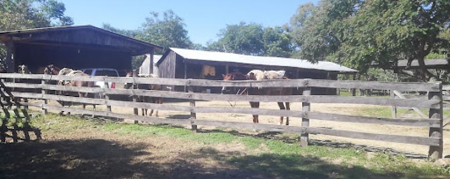 La Pastora - Caaguazú - Paraguay