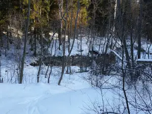 Icy Cave