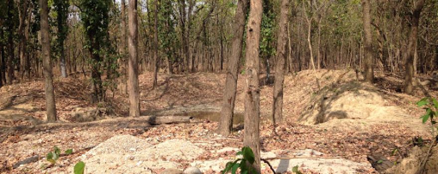 Parsa National Park office