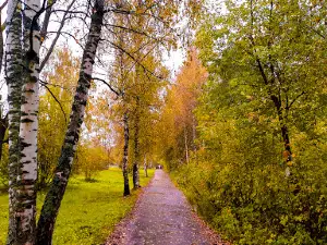 City Park