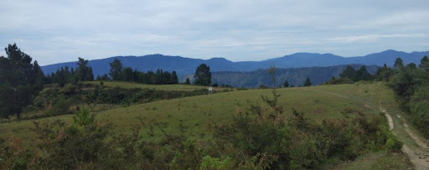 PTPN IV Kebun Marjandi