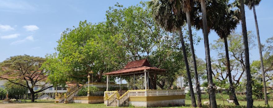 Sovann Meali Tole Bit Pagoda