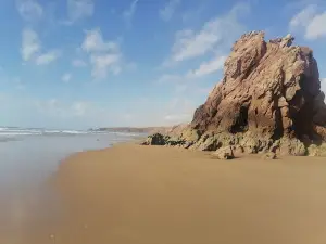 プレッジ・イミン・ターガ