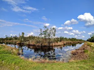 Pungo Unit Of Pocosin Lakes National Wildlife Refuge
